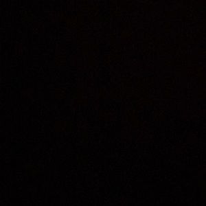 Meet your Posher, Billy